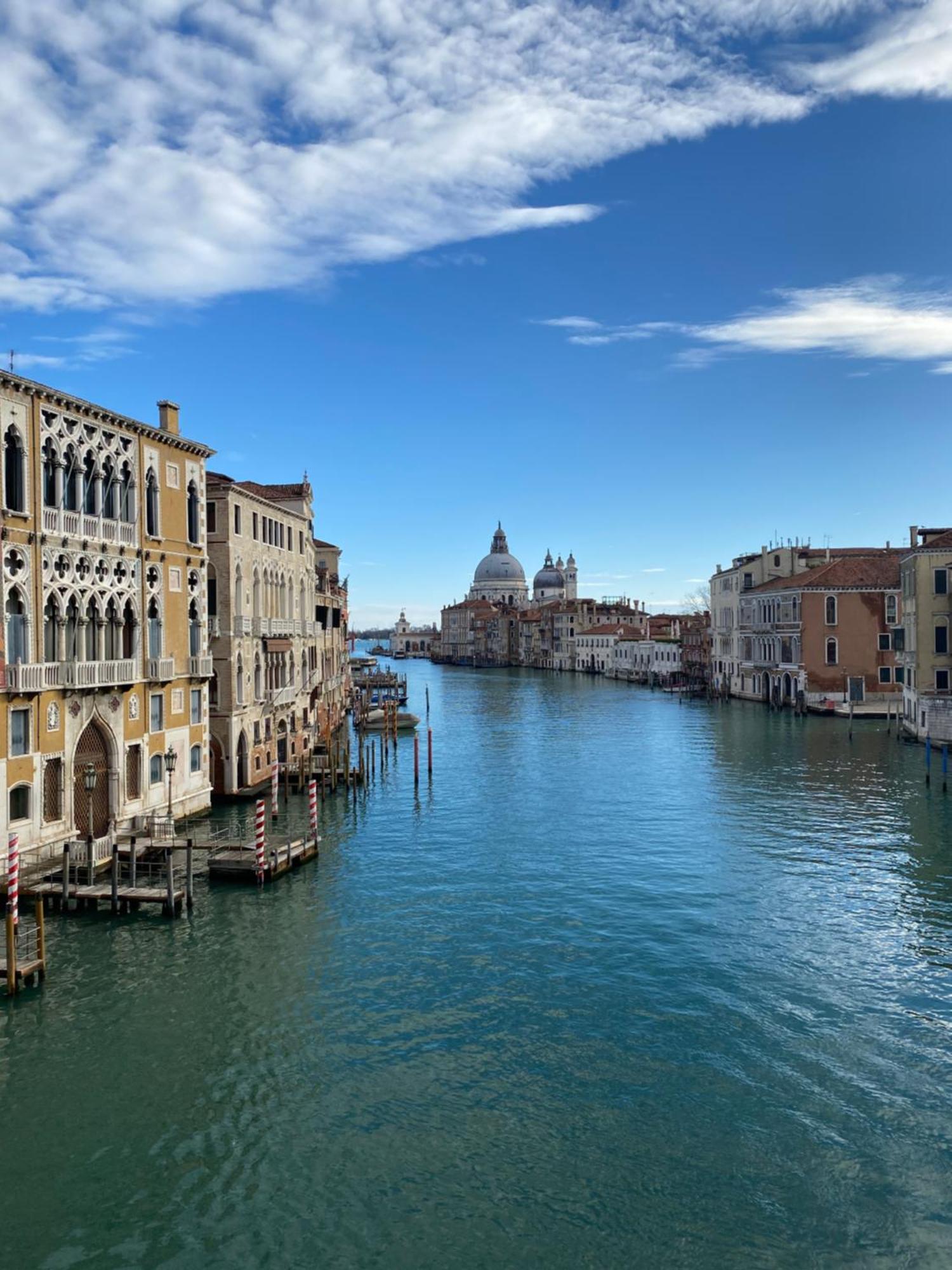 Wow Garden In The Heart Of Venedig